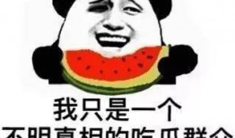 吃瓜会引起发热吗,揭秘夏日消暑美食背后的健康隐患