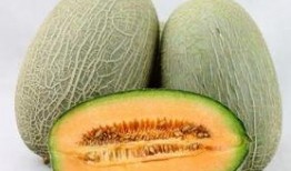 引流吃哈密瓜好吗