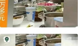吃瓜硬卡点,探寻美食背后的故事与奥秘