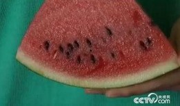 夏日吃瓜小妙招