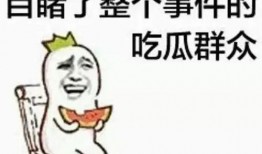吃瓜群众握手抱拳,揭秘网络社交新风尚