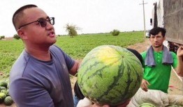 占位吃瓜,揭秘娱乐圈幕后真相