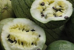 河南人吃籽瓜,舌尖上的乡愁与美食传承