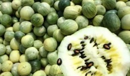 河南人吃籽瓜,舌尖上的乡愁与美食传承