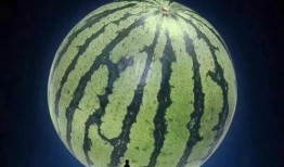 鹿屿吃瓜,揭秘娱乐圈背后的那些事儿