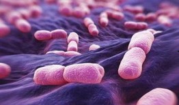 胰腺癌可以吃西湖瓜吗,西湖瓜的适宜性探讨