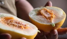 生活中的吃瓜案例