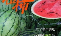 为何喜欢吃瓜,揭秘“吃瓜群众”背后的心理奥秘