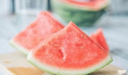 长沙吃瓜神经,揭秘城市生活百态的神经网络