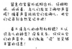 看戏吃瓜小说在线阅读,看戏吃瓜小说在线阅读之旅