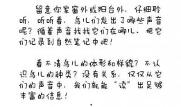 看戏吃瓜小说在线阅读,看戏吃瓜小说在线阅读之旅