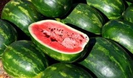 吃瓜20下,揭秘娱乐圈背后的秘密与真相