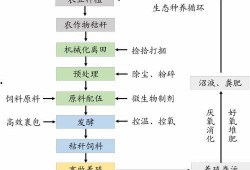 吃瓜生态循环模式,揭秘瓜果从田间到餐桌的绿色旅程