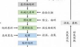 吃瓜生态循环模式,揭秘瓜果从田间到餐桌的绿色旅程