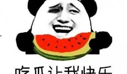 双鱼吃瓜群众视频