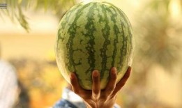 娱乐瓜吃瓜最新,揭秘明星背后的秘密与真相