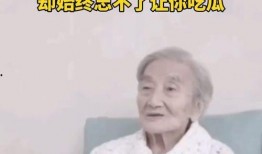 坐等实现吃瓜自由,解锁“吃瓜自由”的奇幻旅程