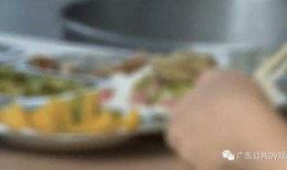蜜瓜吃见苦的,揭秘甜蜜背后的苦涩真相