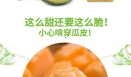 吃瓜网站推荐上海,跟随吃瓜网站解锁沪上特色美食之旅