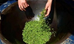 吃瓜比赛配文,吃瓜比赛狂欢现场