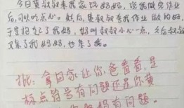 作文吃瓜老师,揭秘校园里的趣味故事