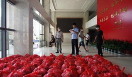 疫情吃瓜群众汤阴,吃瓜群众的视角与思考