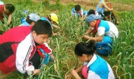 前进小学吃瓜,吃瓜乐趣多，校园生活添色彩