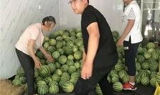 常州吃瓜事件,一场网络舆论的风波与反思