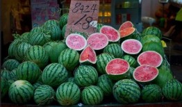 台湾沿海吃瓜,瓜果飘香，品味海岛风情