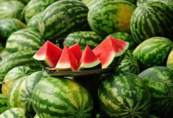 在宗门吃瓜,吃瓜群众揭秘门派秘辛