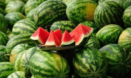 在宗门吃瓜,吃瓜群众揭秘门派秘辛