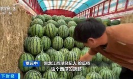 雷小米路边吃瓜