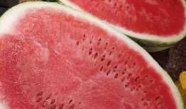 宁夏最吃瓜,瓜田里的那些事儿，带你领略塞上风情