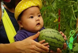 吃瓜群迷,网络社交新现象背后的故事