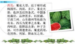 105页吃瓜ppt,从105页PPT看娱乐圈风云