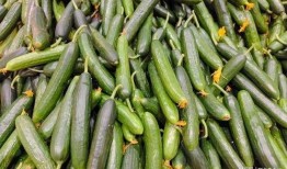 吃瓜丝瓜茄子,吃瓜、丝瓜、茄子，美味与营养共存