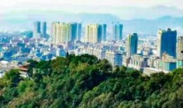 吃瓜台州杜桥,揭秘吃瓜群众的美食天堂