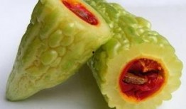 呱呱叫吃瓜,揭秘网络热词背后的趣味与现象
