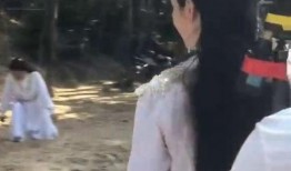 顶楼女明星吃瓜,揭秘娱乐圈的瓜田秘闻