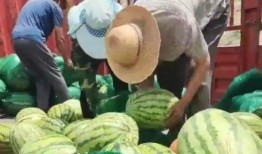 在单位吃瓜,揭秘职场八卦背后的真相