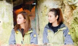 好姐妹吃瓜,揭秘娱乐圈那些不为人知的秘密