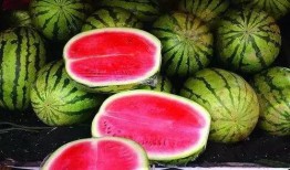 绍兴吃瓜大赛详情,吃瓜大赛狂欢，瓜王争霸一触即发！”