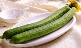 夏季吃瓜有讲究,健康养生有门道