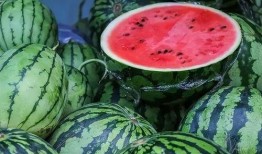 不喝水吃瓜,不喝水，吃瓜也能畅快一夏