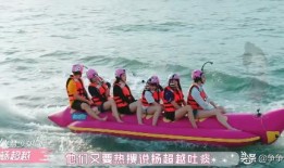 冲浪吃瓜少女小说,冲浪少女的奇幻漂流之旅