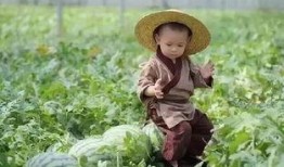 瓜娃吃货,探寻美食世界的无限魅力