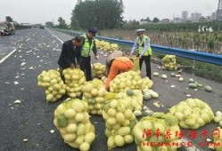 弋阳吃瓜群众事迹,见证时代变迁的民间观察者