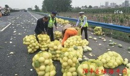 弋阳吃瓜群众事迹,见证时代变迁的民间观察者