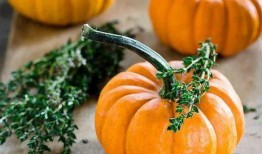 立秋了吃秋瓜,秋瓜养生正当时