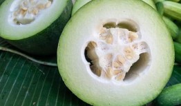 雪兔吃瓜,一场吃瓜引发的奇幻之旅